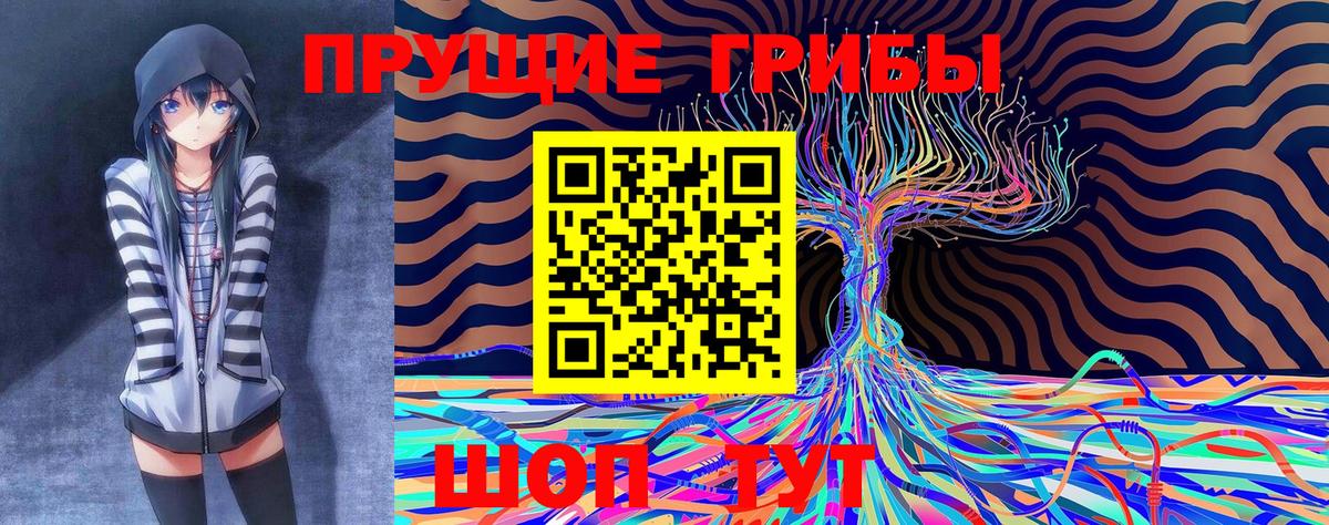 Астрахань  Псилоцибиновые грибы Psilocybine cubensis  Галлюциногенные грибы мухоморы  Вход с VPN 